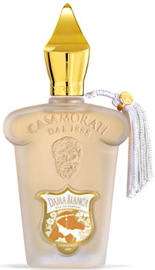Dama Bianca